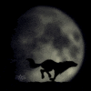 sticker_14666869_19512501