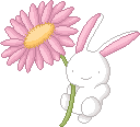 sticker_11449544_17140318