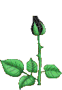 sticker_19808682_35999378