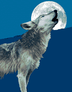 sticker_12002435_20629996
