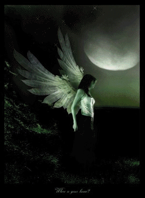 sticker_17104400_35397842