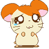 sticker_26500285_43926098