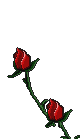 sticker_21373652_40132912