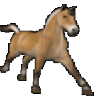 sticker_2569842_3496830
