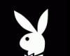 sticker_19793618_37154949
