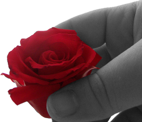 sticker_13172712_28240900