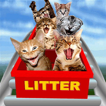 sticker_19405389_37911538