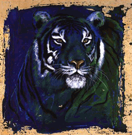 sticker_2092058_2684914