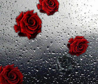 sticker_6686445_10693605