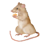 sticker_7623003_19592940