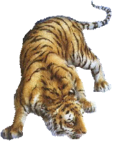 sticker_166449_5909341