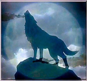 sticker_16116051_21022956