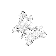 sticker_27148260_39504375
