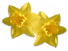 sticker_6513079_31968071