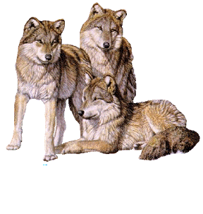 sticker_20021762_31891011