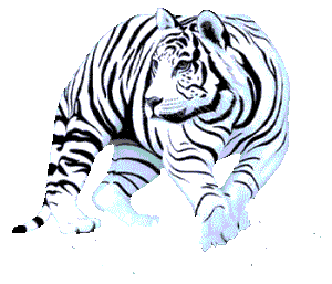 sticker_6671682_19035435