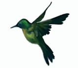 sticker_24682221_41687480