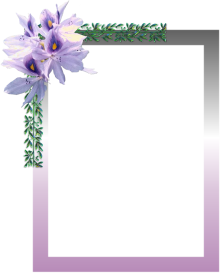 sticker_1537002_13454406