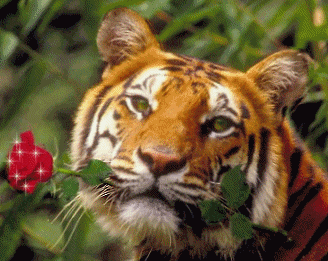 sticker_7404349_15139358