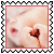 sticker_17992944_31705388