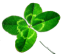sticker_25925564_35665569