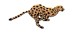 sticker_17497707_23371146