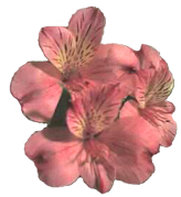 sticker_14158913_21492290