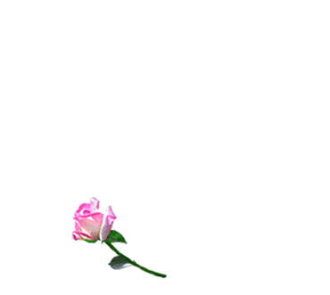 sticker_22483238_32481973