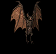 sticker_1250356_1882125
