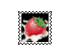 sticker_5252582_31556047