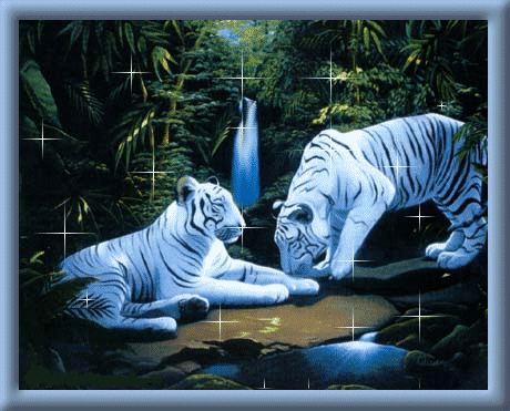 sticker_17324506_30206851