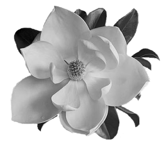 sticker_16747107_28809578