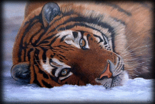 sticker_3682101_36416715