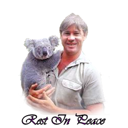 sticker_15144973_22976917