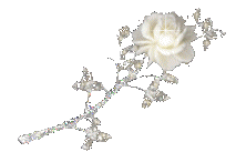 sticker_17655837_24709078