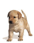 sticker_2125402_2674105