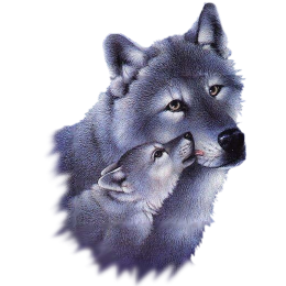 sticker_18078123_28128414