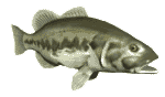 sticker_21155843_28576741