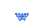 sticker_17992944_31709307