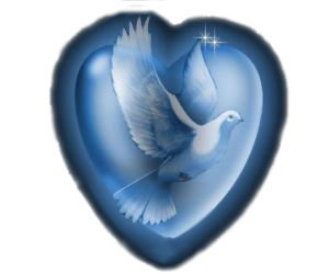 sticker_6377695_11170544