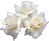 sticker_21068923_35951713