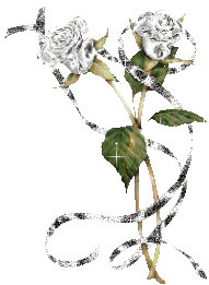sticker_17907517_28011728