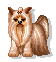 sticker_20747612_34927990