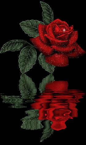 sticker_19386565_47004643