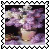 sticker_6195420_26395123