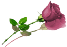 sticker_8987740_12582743