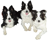 sticker_1338299_5568301