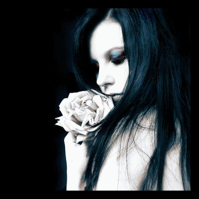 sticker_12142741_15373377
