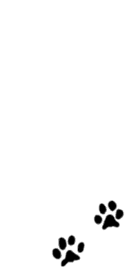 sticker_14674438_30783722