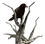 sticker_18368206_37802257